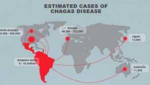Symptómy choroby shagas a diagnostika trypanozomózy